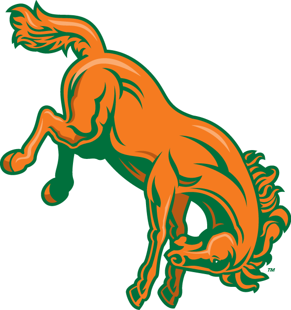 Texas-Pan American Broncs 2010-2014 Alternate Logo v2 diy iron on heat transfer